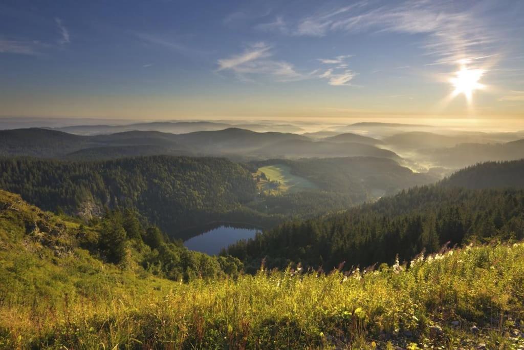 Waldlicht Titisee Exterior photo