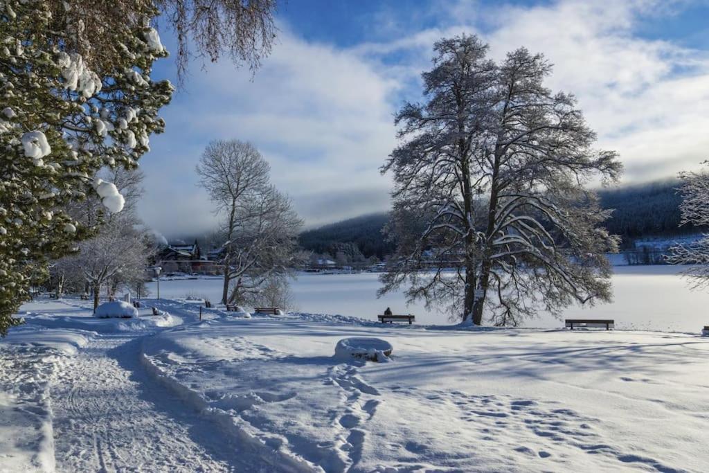 Waldlicht Titisee Exterior photo